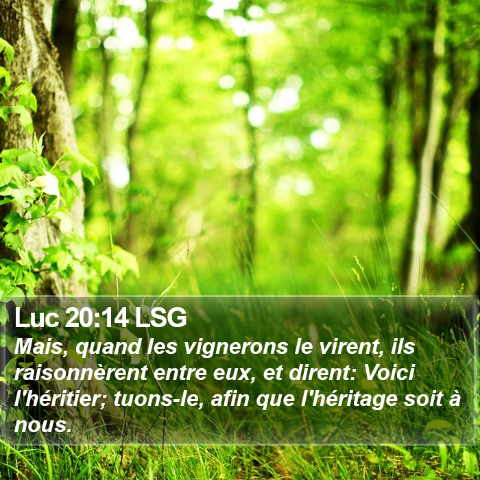 Luc 20:14 LSG Bible Study