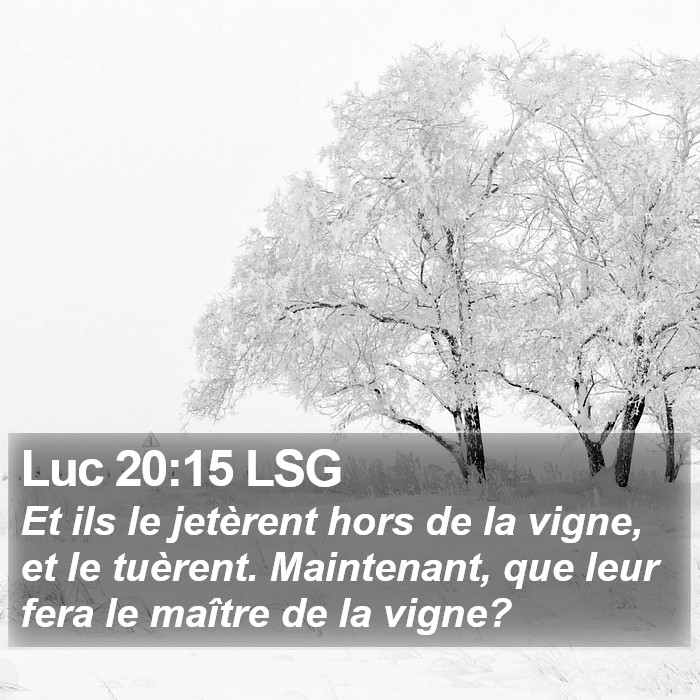 Luc 20:15 LSG Bible Study