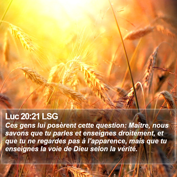 Luc 20:21 LSG Bible Study