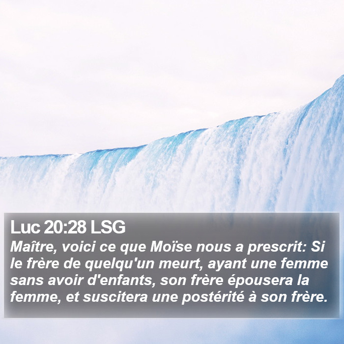 Luc 20:28 LSG Bible Study