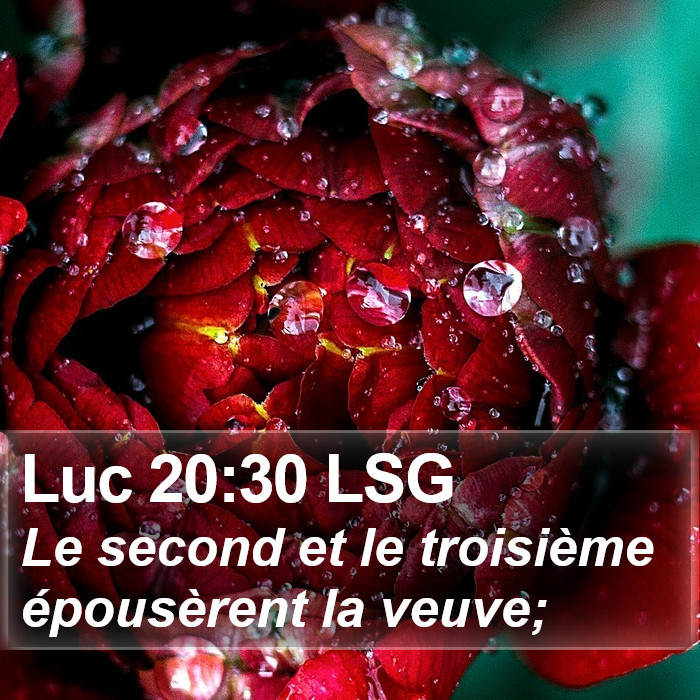 Luc 20:30 LSG Bible Study