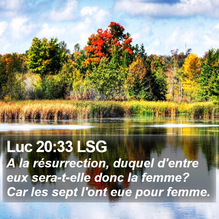 Luc 20:33 LSG Bible Study