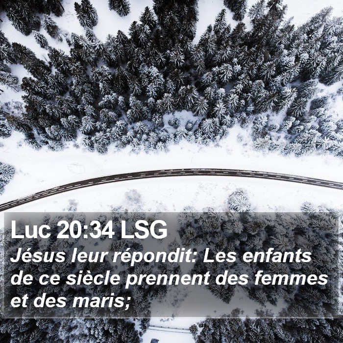 Luc 20:34 LSG Bible Study