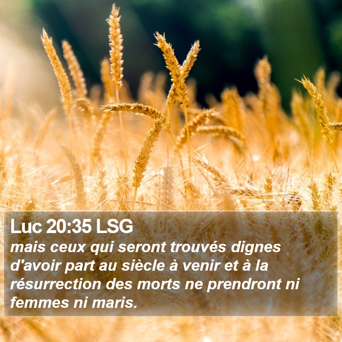 Luc 20:35 LSG Bible Study