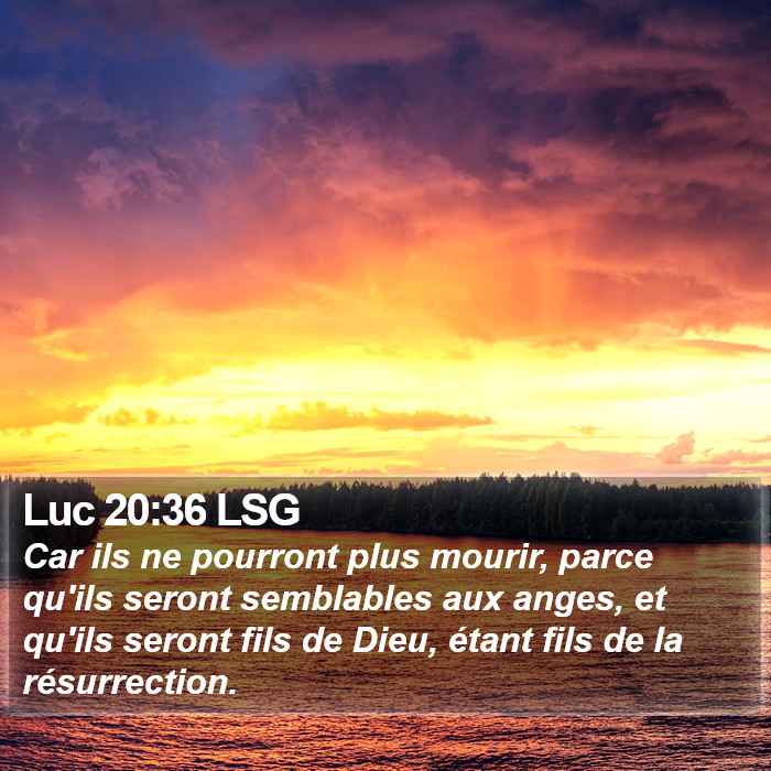 Luc 20:36 LSG Bible Study