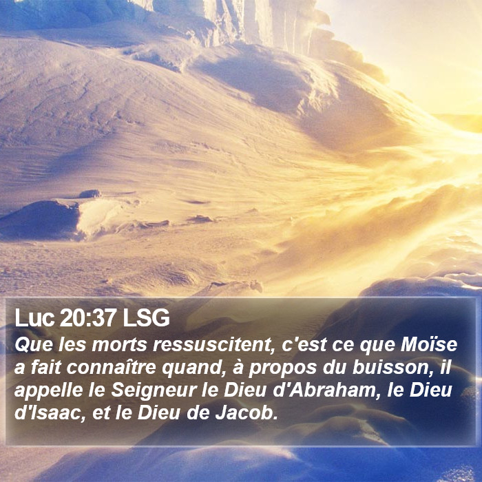 Luc 20:37 LSG Bible Study