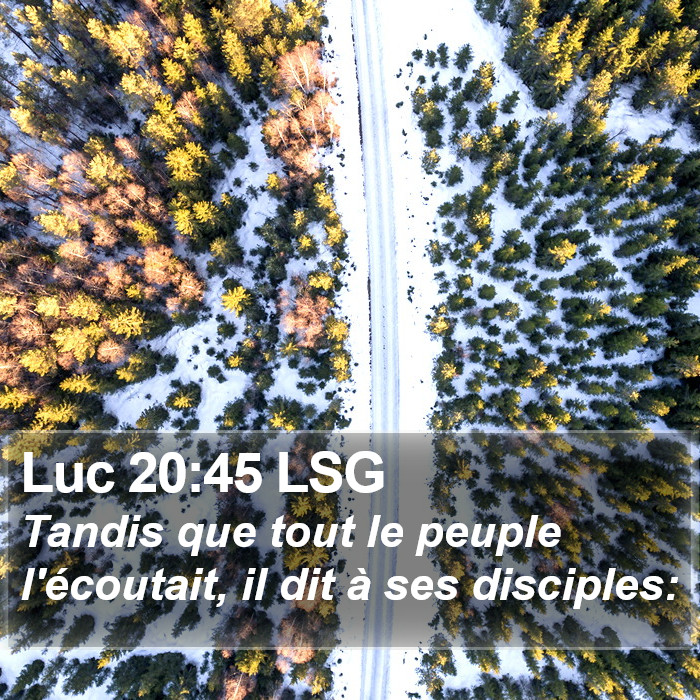 Luc 20:45 LSG Bible Study