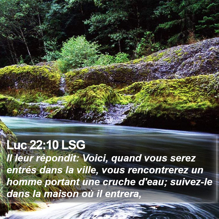 Luc 22:10 LSG Bible Study