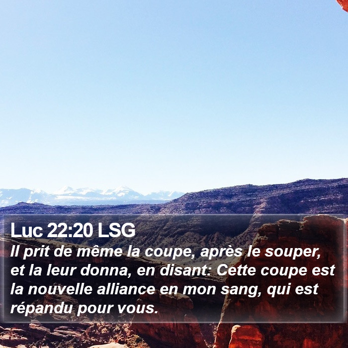 Luc 22:20 LSG Bible Study