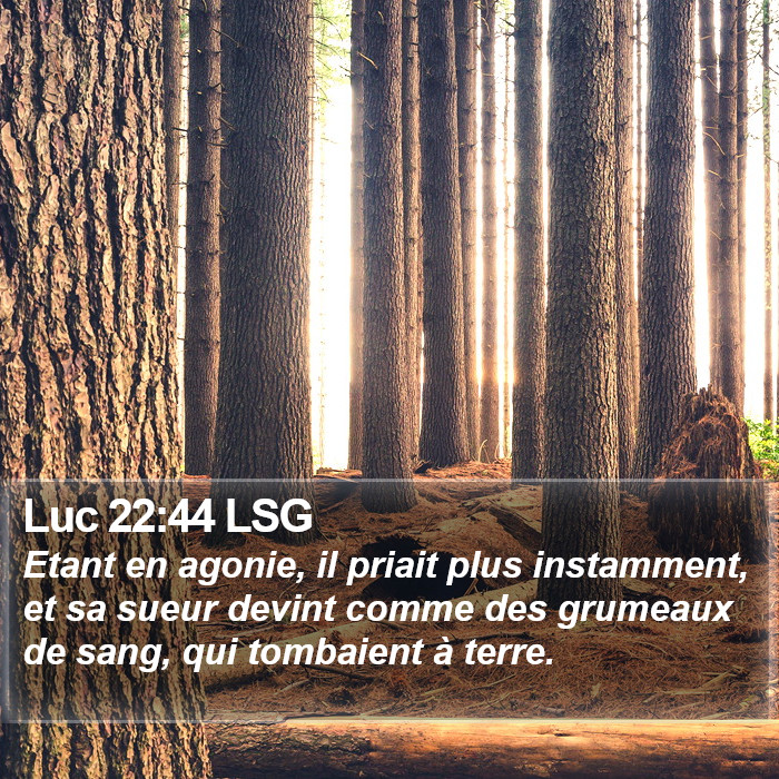 Luc 22:44 LSG Bible Study