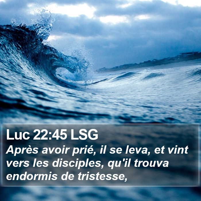 Luc 22:45 LSG Bible Study