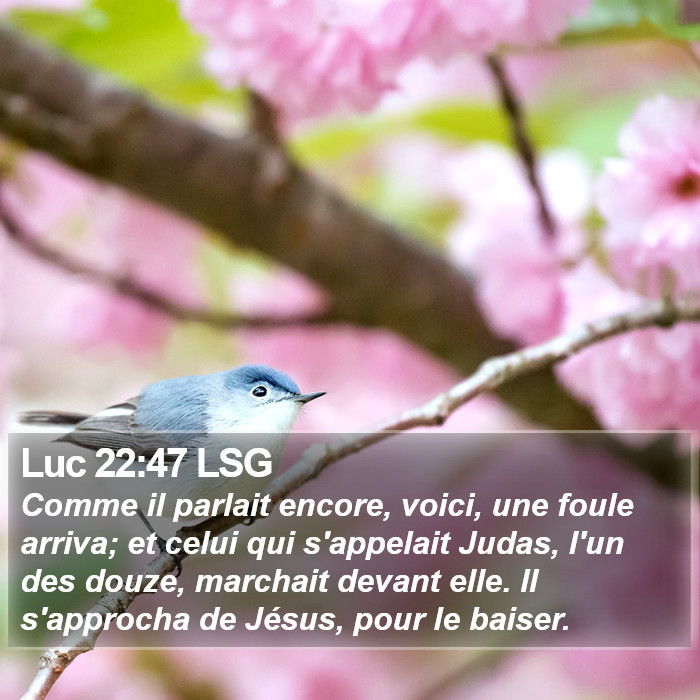 Luc 22:47 LSG Bible Study