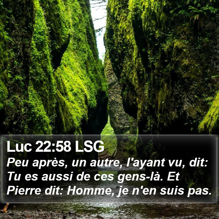 Luc 22:58 LSG Bible Study