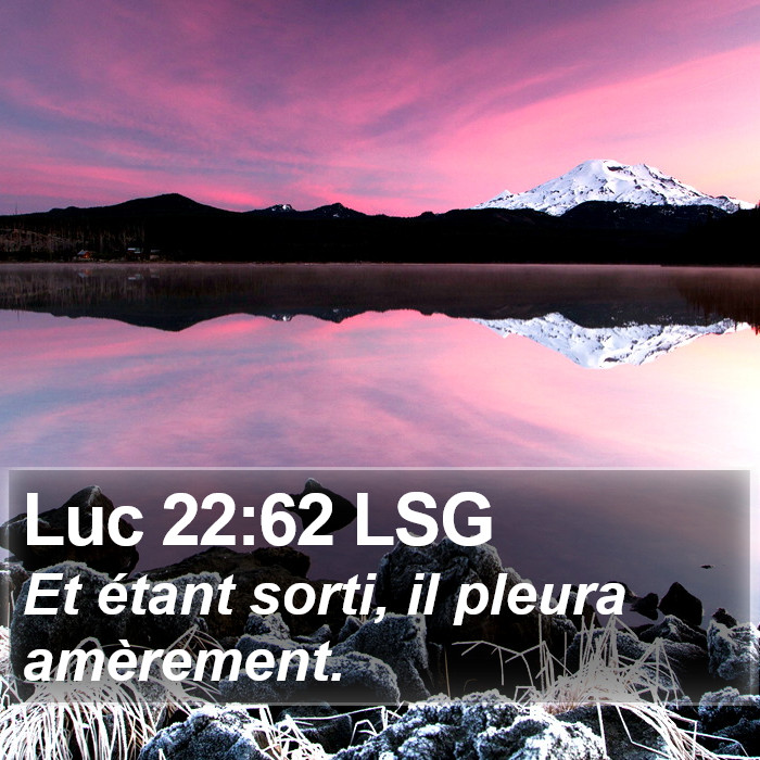 Luc 22:62 LSG Bible Study