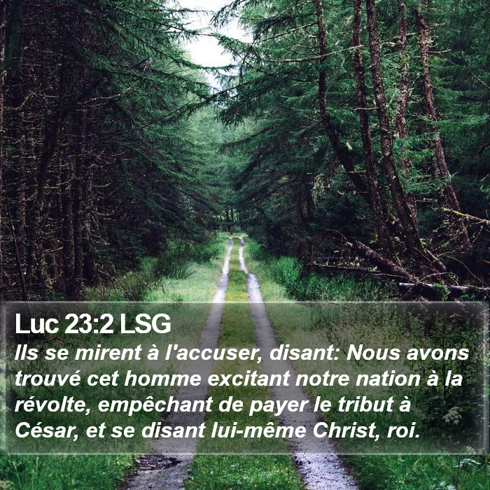 Luc 23:2 LSG Bible Study