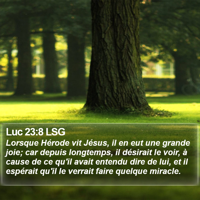 Luc 23:8 LSG Bible Study