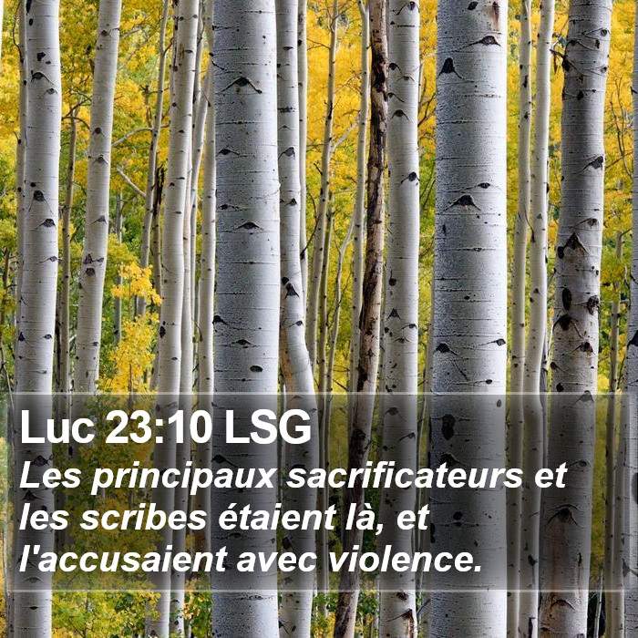 Luc 23:10 LSG Bible Study