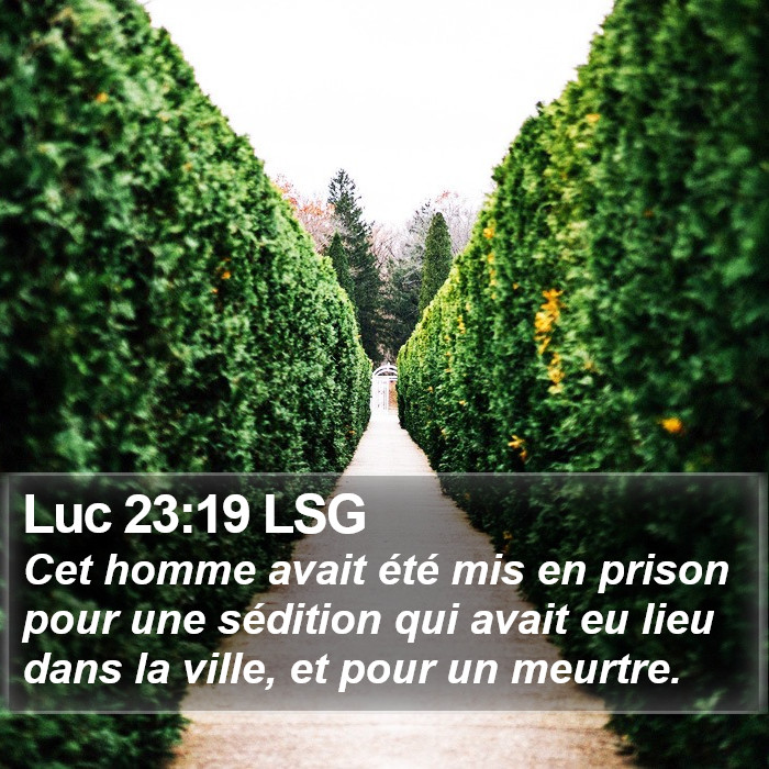 Luc 23:19 LSG Bible Study