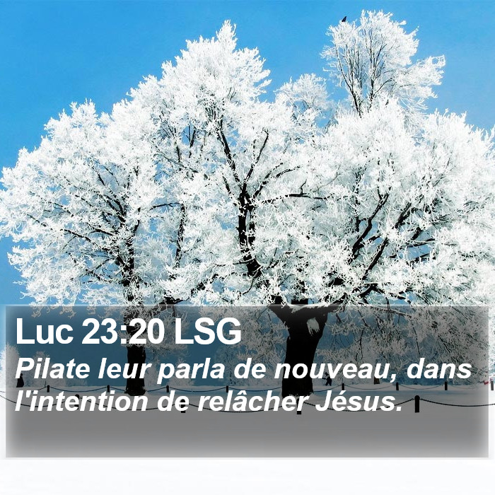 Luc 23:20 LSG Bible Study