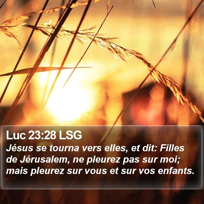 Luc 23:28 LSG Bible Study