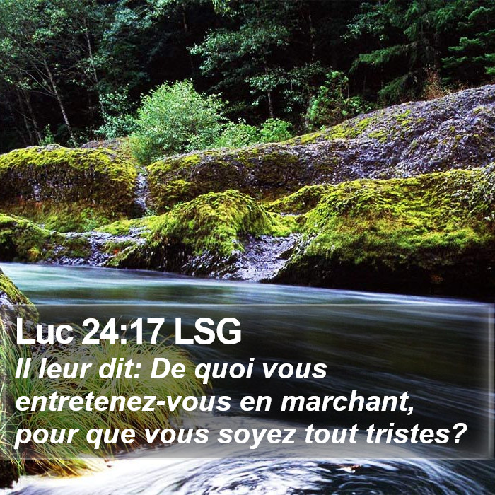 Luc 24:17 LSG Bible Study