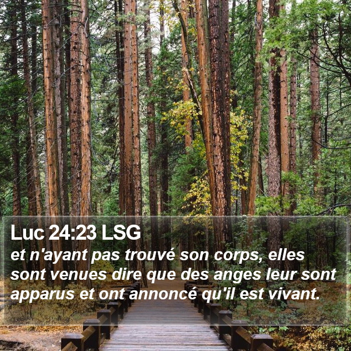 Luc 24:23 LSG Bible Study