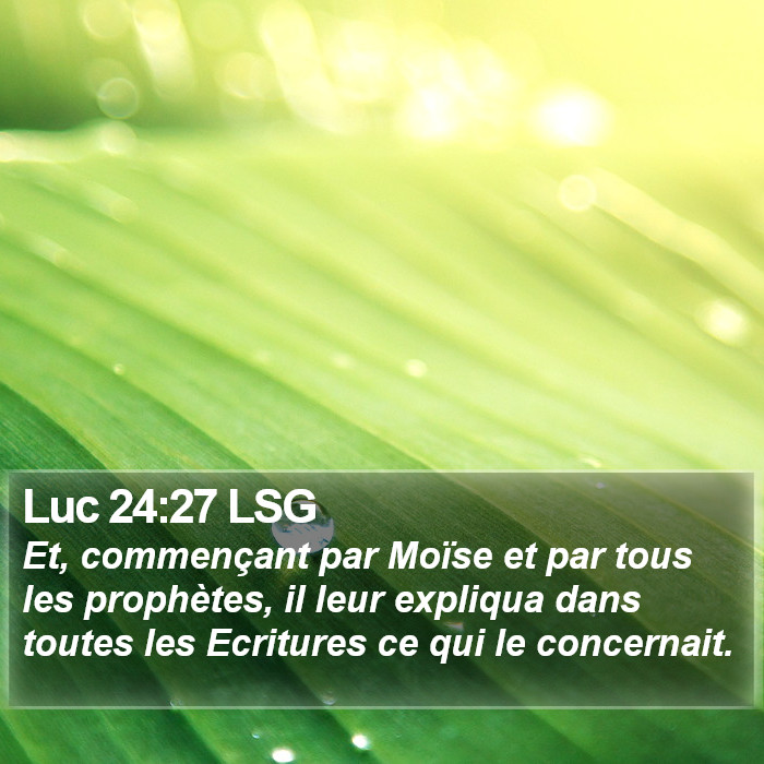 Luc 24:27 LSG Bible Study