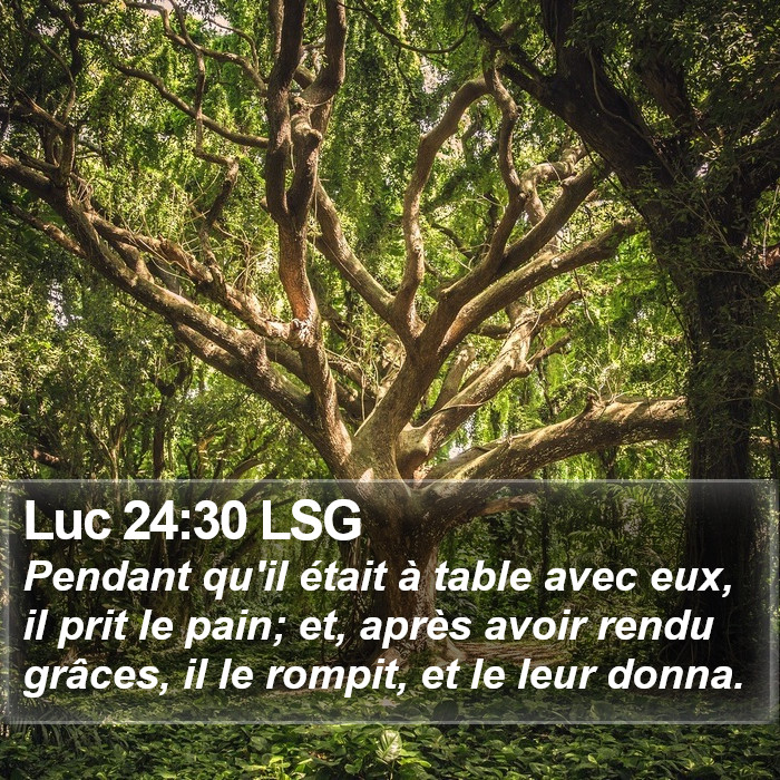 Luc 24:30 LSG Bible Study