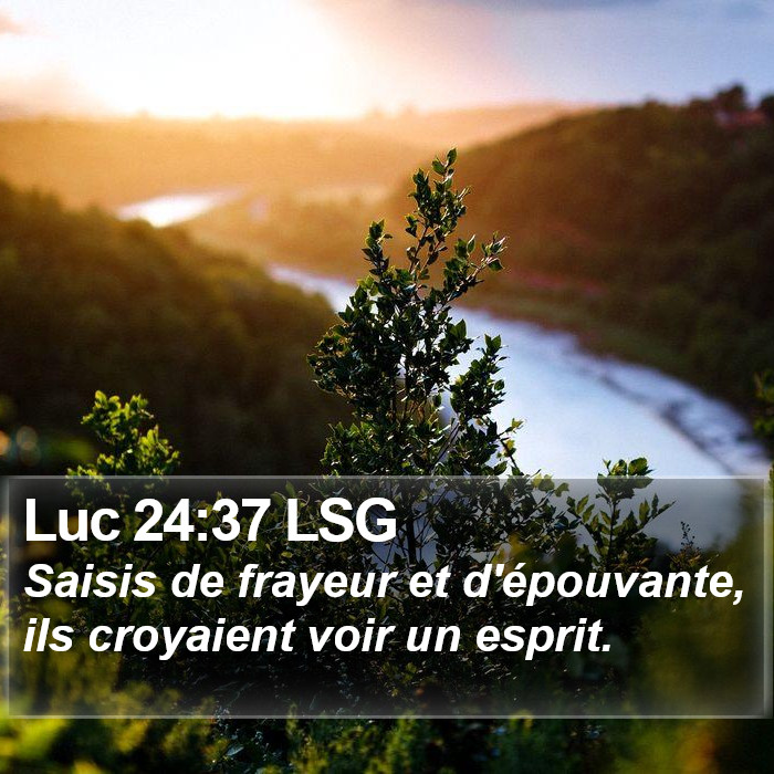 Luc 24:37 LSG Bible Study