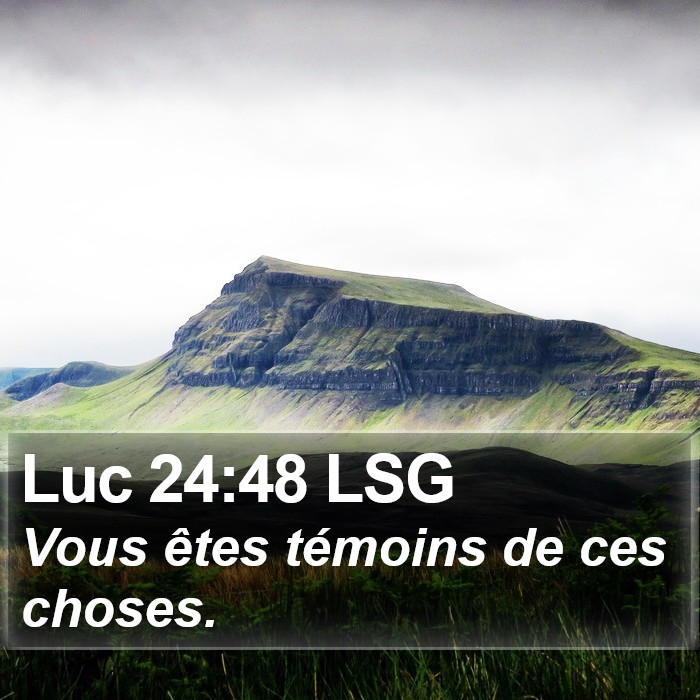 Luc 24:48 LSG Bible Study