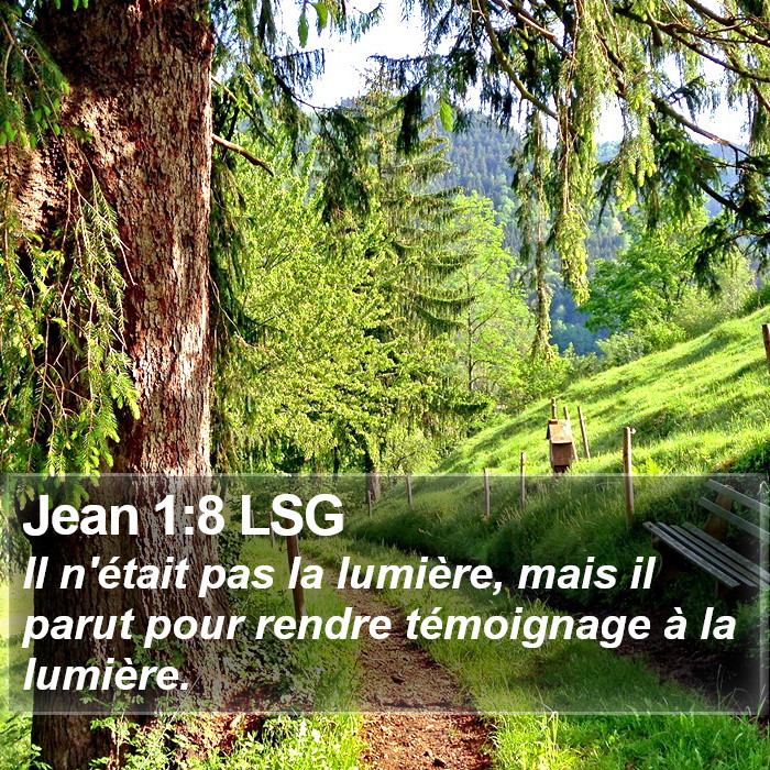 Jean 1:8 LSG Bible Study