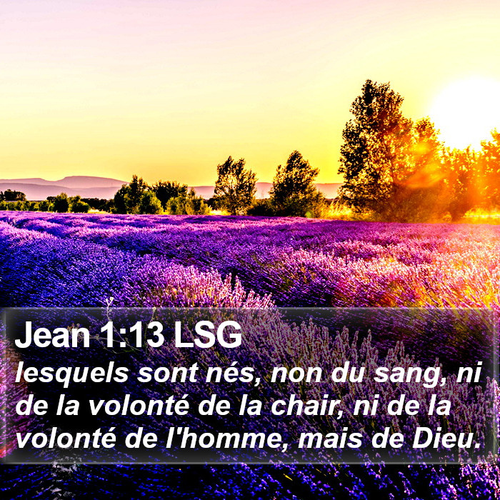 Jean 1:13 LSG Bible Study