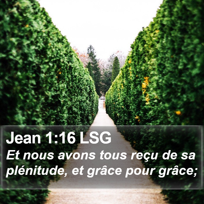 Jean 1:16 LSG Bible Study