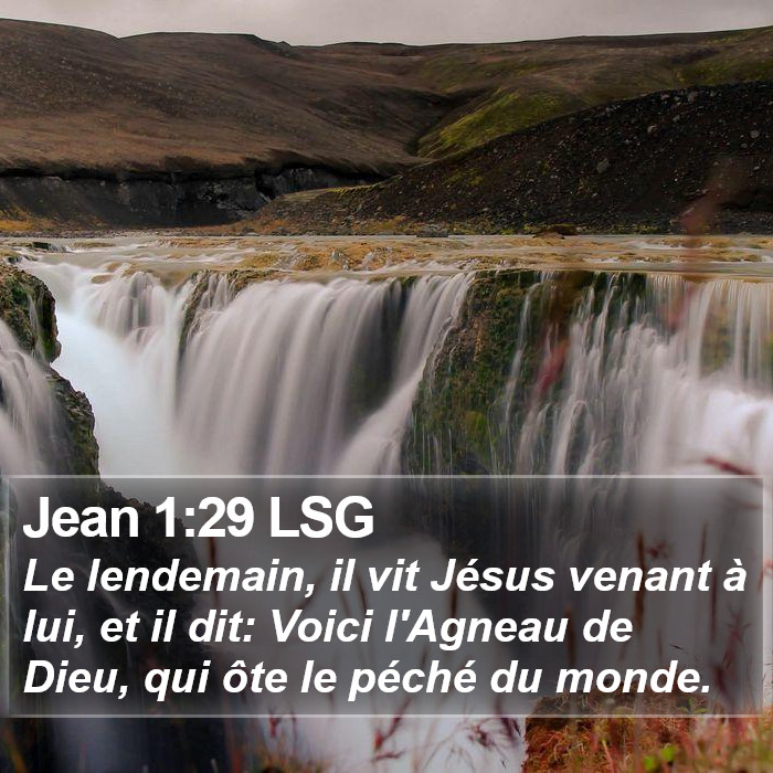 Jean 1:29 LSG Bible Study