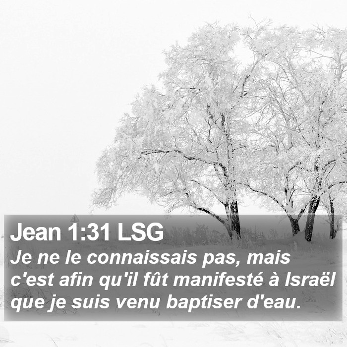 Jean 1:31 LSG Bible Study