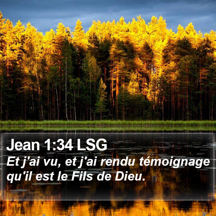 Jean 1:34 LSG Bible Study