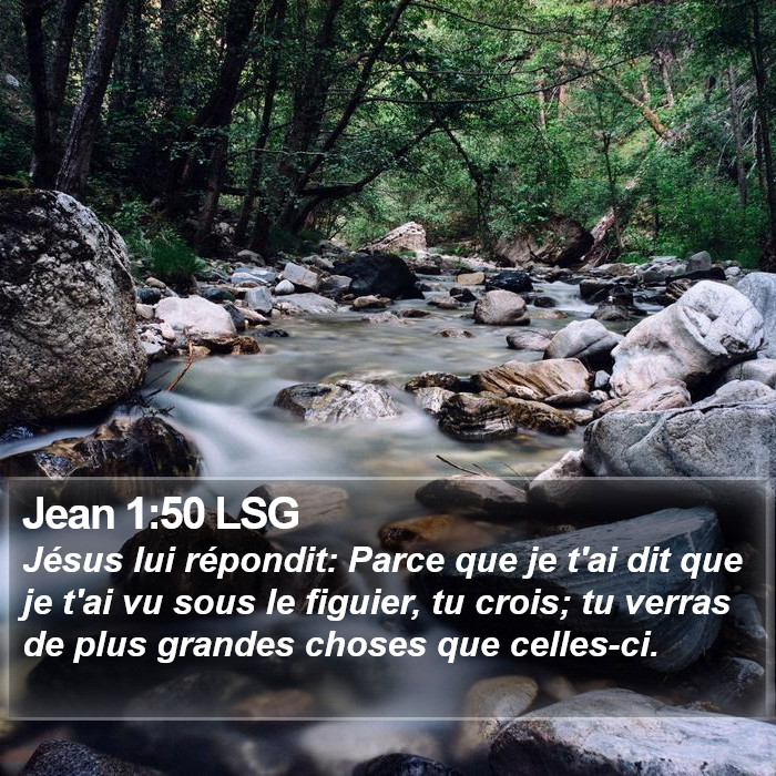 Jean 1:50 LSG Bible Study