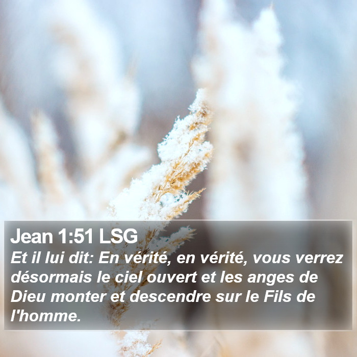 Jean 1:51 LSG Bible Study