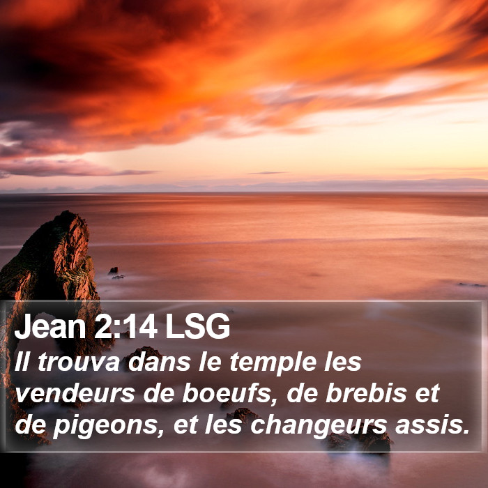 Jean 2:14 LSG Bible Study