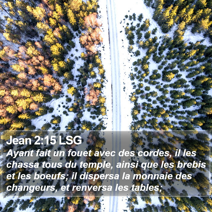 Jean 2:15 LSG Bible Study