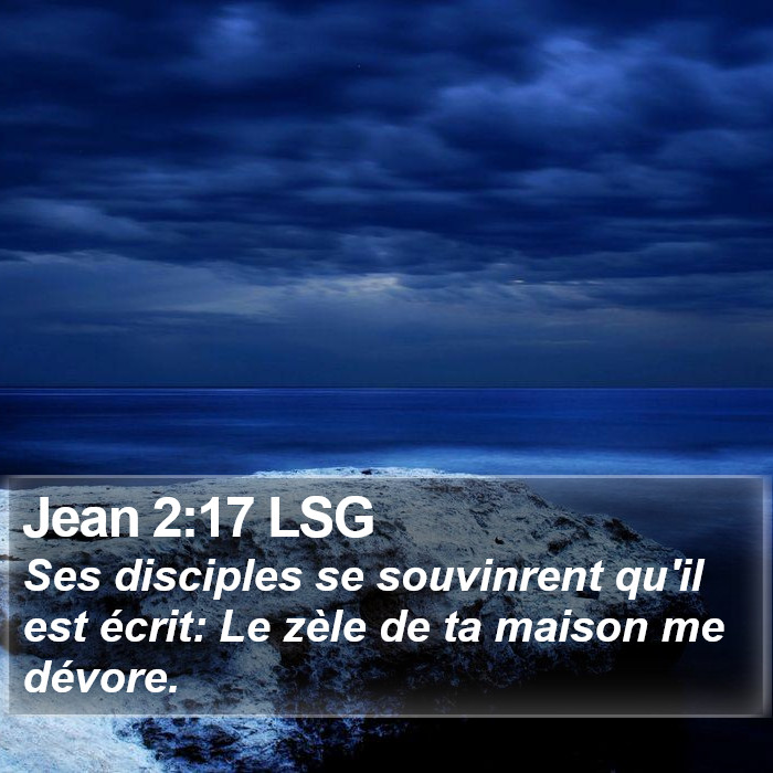 Jean 2:17 LSG Bible Study