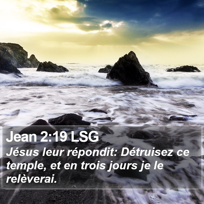 Jean 2:19 LSG Bible Study