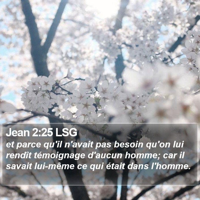 Jean 2:25 LSG Bible Study