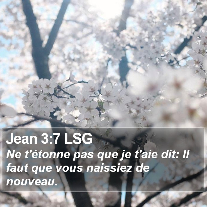 Jean 3:7 LSG Bible Study