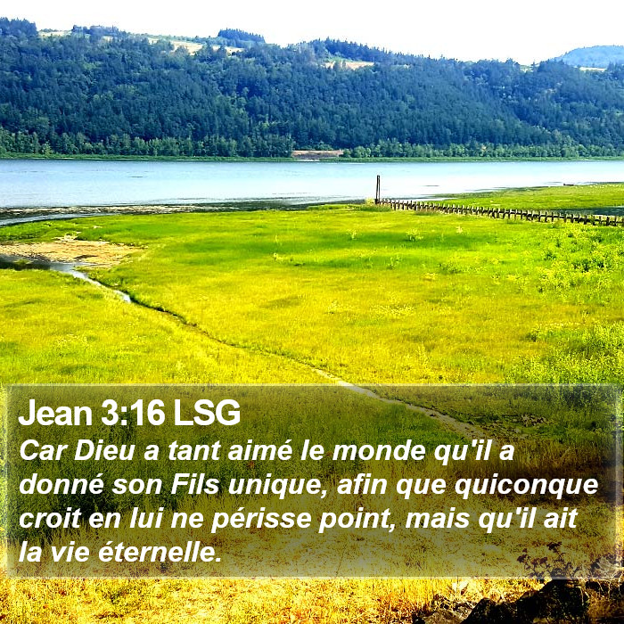 Jean 3:16 LSG Bible Study