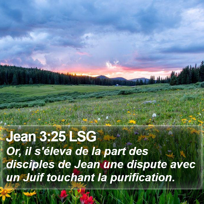 Jean 3:25 LSG Bible Study