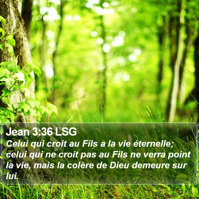 Jean 3:36 LSG Bible Study