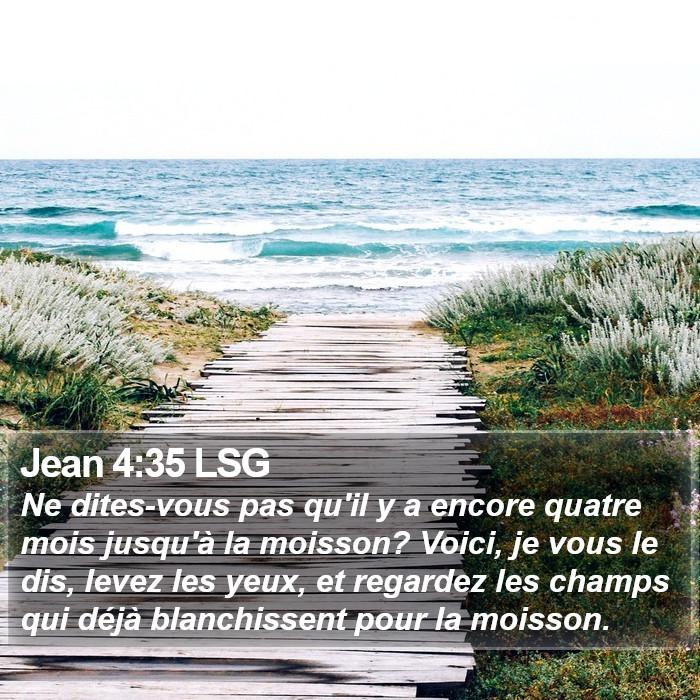 Jean 4:35 LSG Bible Study