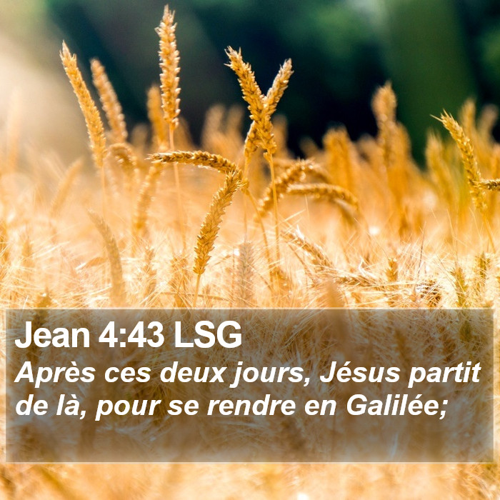 Jean 4:43 LSG Bible Study