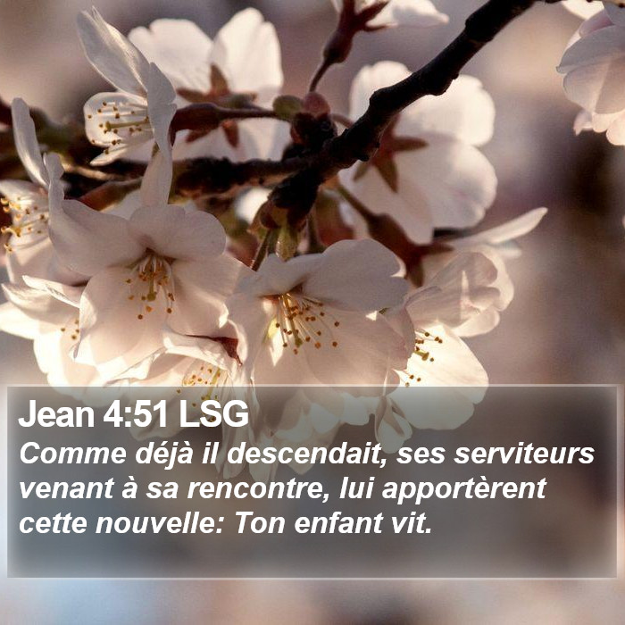 Jean 4:51 LSG Bible Study